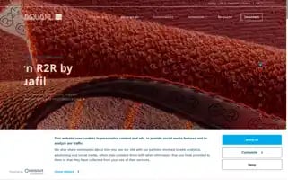 Aquafil.com Screenshot 2024-06-13 18:07:33