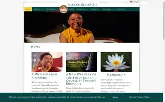 Tsoknyirinpoche.org Screenshot 2024-06-11 16:02:31