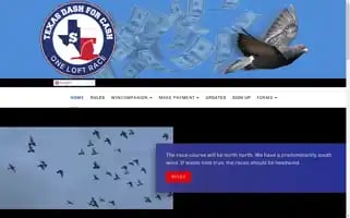 Txdashforcasholr.com Screenshot 2024-07-08 13:16:25