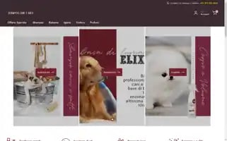 Shampoocaniegatti.it Screenshot 2024-05-23 03:12:22
