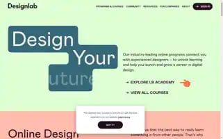 Designlab.com Screenshot 2024-06-14 16:36:34