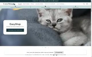 Chatschic.com Screenshot 2024-05-03 08:57:27