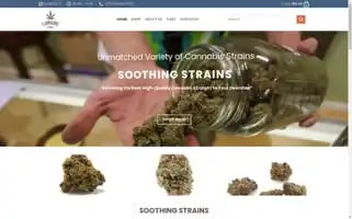 Soothingstrains.com Screenshot 2024-05-27 17:27:49