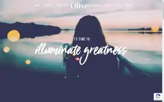 Olivepublicrelations.com Screenshot 2024-06-29 20:07:15