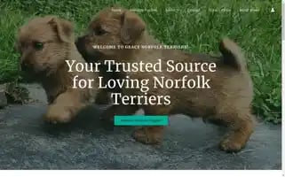 Gracenorfolkterriers.com Screenshot 2024-05-28 06:46:22