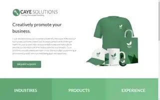 Cayesolutions.com Screenshot 2024-05-15 16:52:17