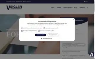 Veigler.com Screenshot 2024-07-03 01:51:09