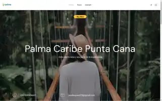 Palmacaribetours.com Screenshot 2024-04-26 17:44:39