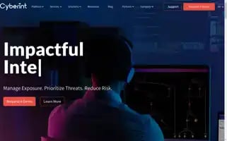 Cyberint.com Screenshot 2024-06-28 22:31:41