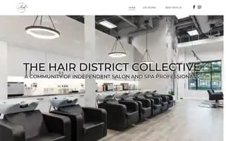 Thehairdistrict.com Screenshot 2024-05-16 20:57:05