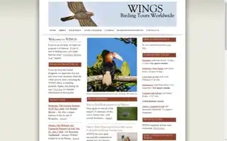 Wingsbirds.com Screenshot 2024-05-15 03:59:13