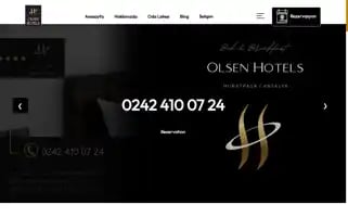 Olsenhotels.com Screenshot 2024-04-15 23:58:10