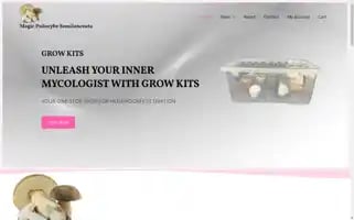 Magicpsilocybesemilanceata.com Screenshot 2024-05-28 21:41:48