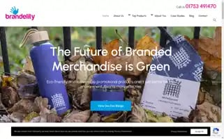 Brandelity.com Screenshot 2024-05-08 21:16:54