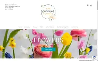 Enchantedaustin.com Screenshot 2024-05-15 21:15:37