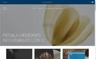 Ospasalon.com.mx Screenshot 2024-05-05 17:27:05
