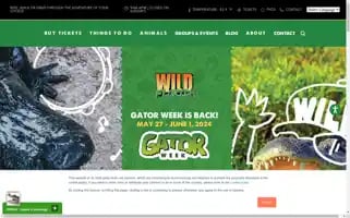 Wildfloridairboats.com Screenshot 2024-05-15 03:13:49