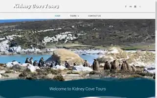 Kidneycovetours.com Screenshot 2024-04-17 19:41:49
