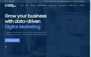 Branditstrategies.com Screenshot 2024-06-17 03:08:08