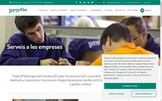 Prodis.cat Screenshot 2024-06-12 19:38:38