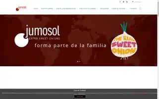 Jumosol.com Screenshot 2024-06-12 08:34:05