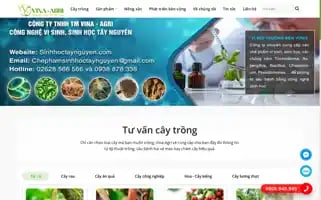 Sinhhoctaynguyen.com Screenshot 2024-05-27 04:19:19