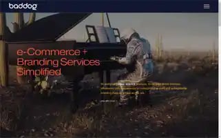 Baddog.ie Screenshot 2024-07-01 09:48:47