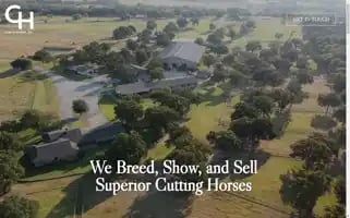 Cowsandhorses.com Screenshot 2024-06-18 12:13:55