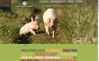 Trevaskisfarm.co.uk Screenshot 2024-06-27 13:51:13