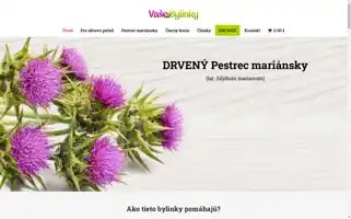 Vasebylinky.sk Screenshot 2024-05-19 23:34:08