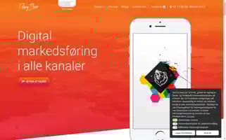 Risingbear.no Screenshot 2024-06-17 15:59:37