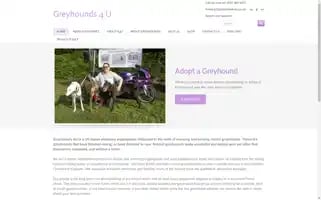 Greyhounds4u.co.uk Screenshot 2024-07-02 19:13:08