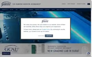 Sarine.com Screenshot 2024-07-04 07:17:53