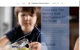 Olympianfearlessmart.com Screenshot 2024-05-29 02:56:23