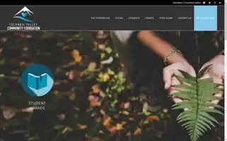 Valleyfoundation.ca Screenshot 2024-05-16 23:07:48