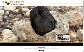 Montruffles.com Screenshot 2024-07-02 20:27:19