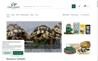 Turtles.pl Screenshot 2024-05-19 16:10:43