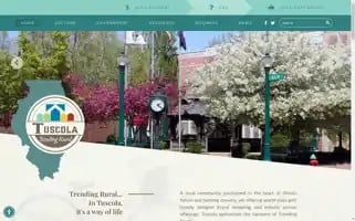 Tuscola.org Screenshot 2024-07-06 04:06:15