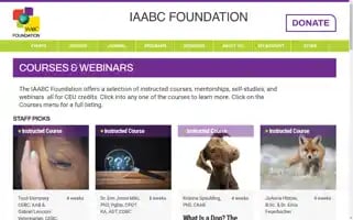 Iaabcfoundation.org Screenshot 2024-06-30 15:13:23