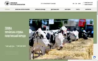 Holstein.com.ua Screenshot 2024-07-09 00:21:38