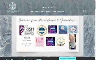 Thewicklowstreetclinic.ie Screenshot 2024-05-16 21:22:15