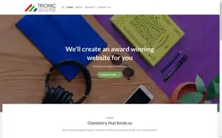 Trionicsolutions.com Screenshot 2024-06-26 20:48:36