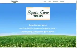 Raisincanetours.com Screenshot 2024-04-17 09:37:05