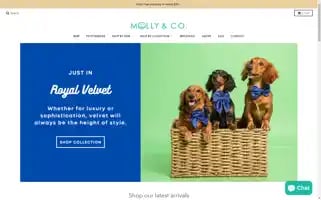 Mollyandcompanyuw.shop Screenshot 2024-05-03 17:02:29