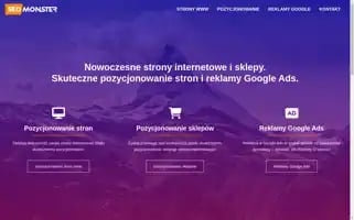 Seomonster.pl Screenshot 2024-06-15 15:54:15