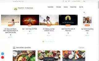 Paddyfinance.com Screenshot 2024-05-27 11:48:27