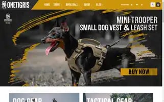 Onetigris.com Screenshot 2024-07-05 02:47:20