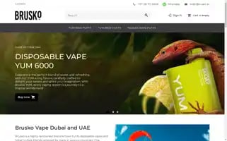 Brusko.ae Screenshot 2024-07-04 20:07:02
