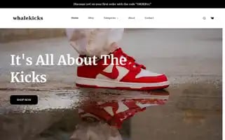 Thewhalekicks.com Screenshot 2024-05-28 10:17:41