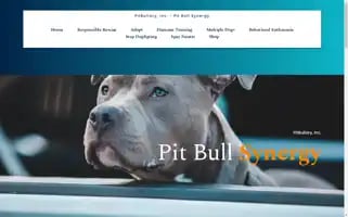 Pitbullsynergy.com Screenshot 2024-05-20 09:55:07